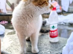 -望儿山温泉水乐园