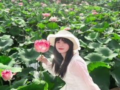 -广州莲花山旅游区