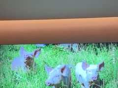 -乡里八闽·福州乡土菜(高宅店)
