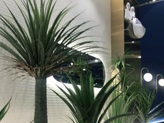 -兰湘子·湘菜小炒(崂山丽达店)