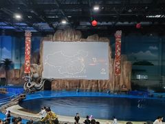 -华夏文旅海洋公园