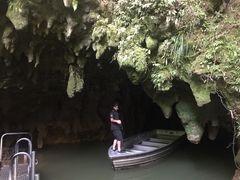 -怀托摩萤火虫洞