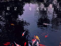 -桂湖森林公园