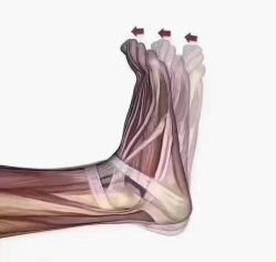 -彤竹瑜伽普拉提馆·女子孕产健身会所