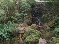 -大雁山风景区