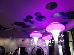 -贝林大翅鲸简餐厅(国家海洋博物馆店)