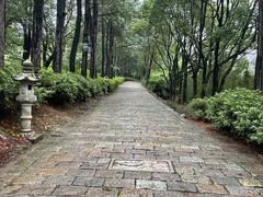 -芍药居北里