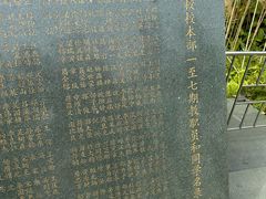 -长洲岛