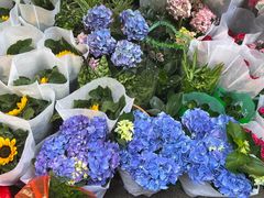 -循礼门鲜花花市(武汉循礼门店)