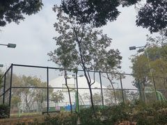 -观澜湖生态运动公社