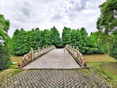 -上海海湾国家森林公园