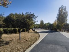 -丁香湖公园