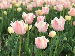 -大宁灵石公园西门票处