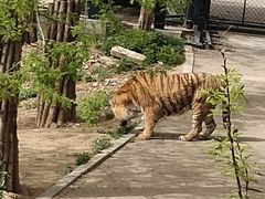 -大连森林动物园