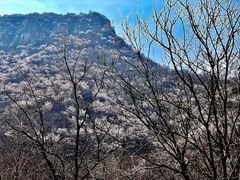 -白河堡水库