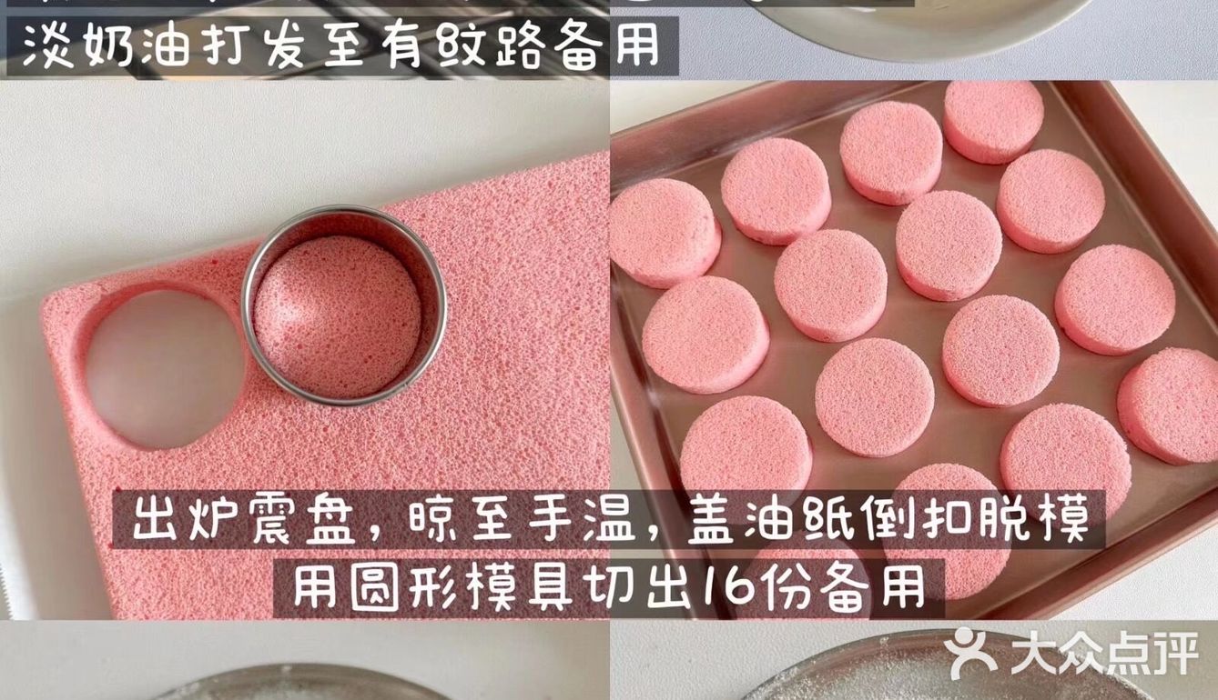 雪域小贝|少女心爆棚海|奶呼呼一次成功