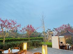 -阳朔悦榕庄·明月西餐厅&清风吧