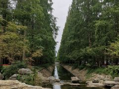 -东平国家森林公园