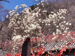 -天津盘山风景名胜区