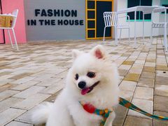 -Blue Concept Cafe&Farm·關於藍