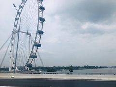 -新加坡摩天观景轮