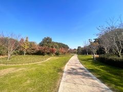 -昆山城市生态森林公园