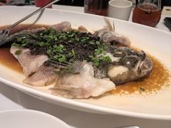 -南麓·浙里(外滩店)