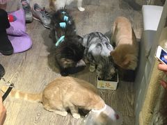 -小时光咖啡馆(开森度假森林店)