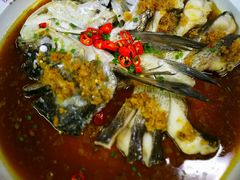 鱼头诱惑-姑奶奶老厨房(南坪路总店)