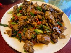 -生态苑农庄(十里画廊遇龙河店)