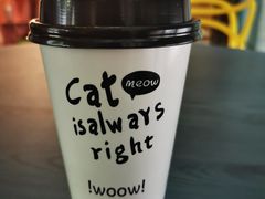 -喵屿·大理花园猫咖