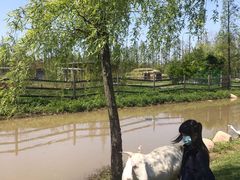 -前小桔亲子创意农场·草莓采摘·露营烧烤