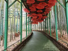 -陶祖圣境风景区