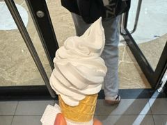 -蜜雪冰城·冰激凌与茶(瑞安吾悦店)