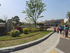-九龙湖公园