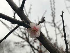 -圩墩遗址公园