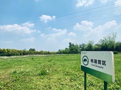-白鹭湾湿地公园