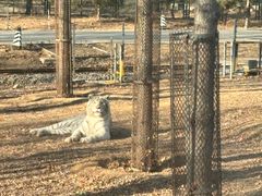 -秦皇岛野生动物园