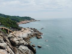 -广东惠东海龟国家级自然保护区