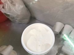 -洪馨椰子