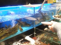 -苏格里岛自助烤肉海鲜火锅(成都金牛万达店)