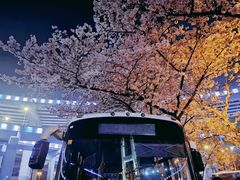 -上海南浦大桥长途旅游客运站