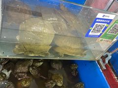 -天丰利生活MALL(和平里店)