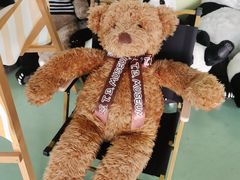 -成都泰迪熊博物馆