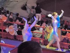 -俄罗斯国家大马戏团