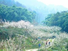 -樱桃山旅游景区