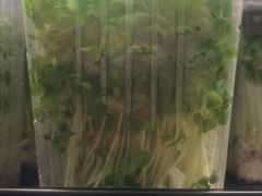 -99大华超市(罗兰岗店)