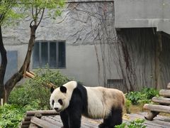 -柳州市动物园