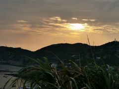 -枸杞岛