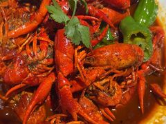 -京悦南门涮羊肉·羊蝎子火锅(田林路店)
